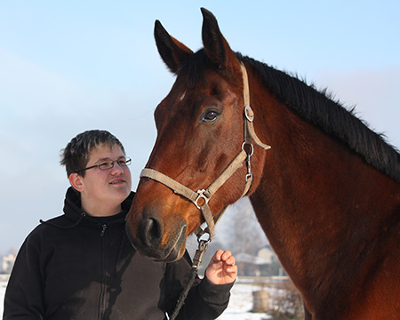 Volunteer with Horse